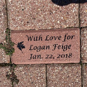Team Logan